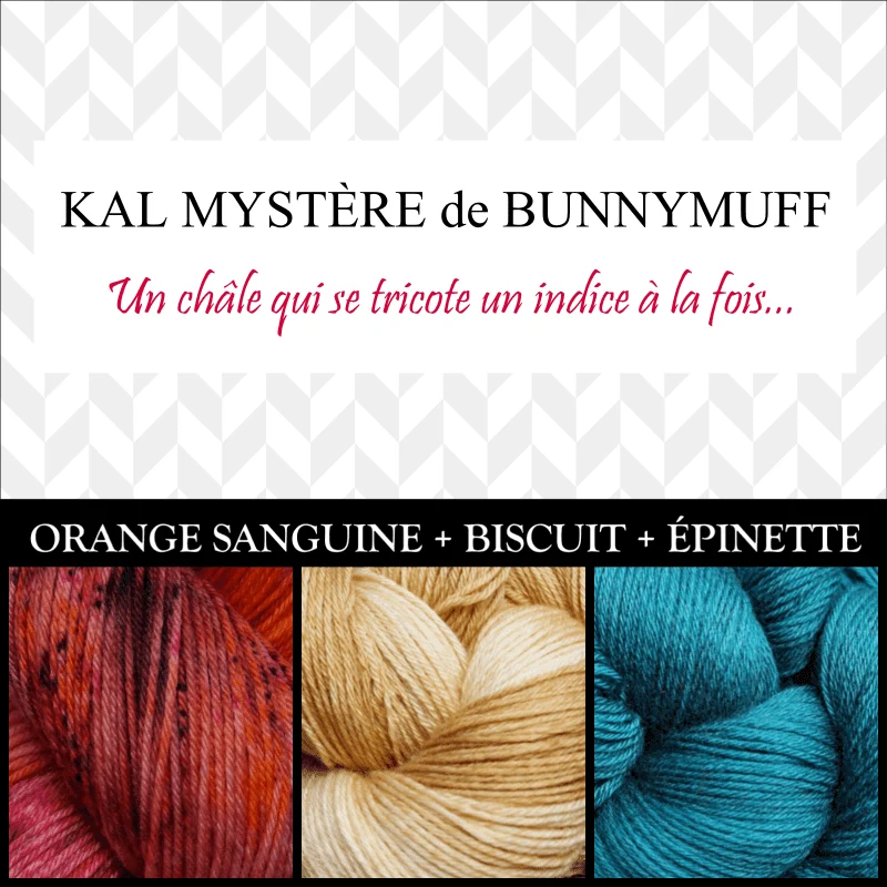 Shawl Knitting Kit by bunnymuff Mona Zillah - Image 6