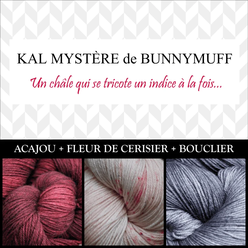 Shawl Knitting Kit by bunnymuff Mona Zillah - Image 8