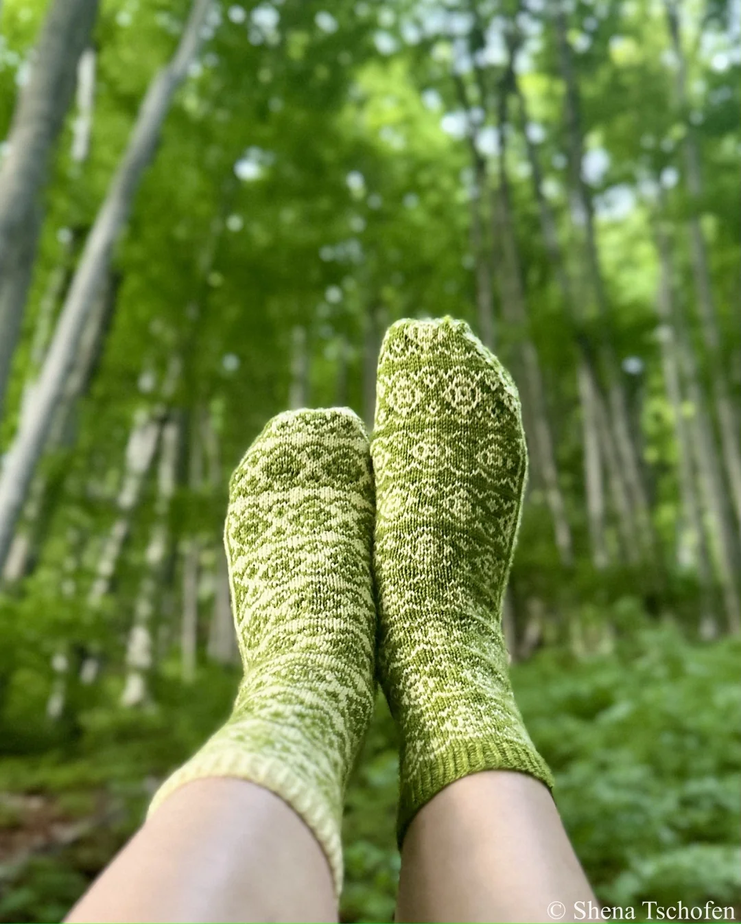 Beech Bud Socks | Yarn Kits - Image 4