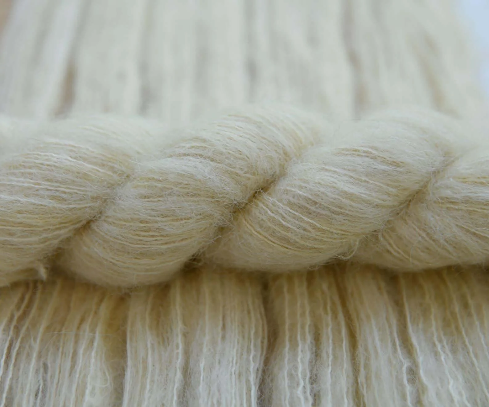 SURI ALPACA CANEVAS - Image 2