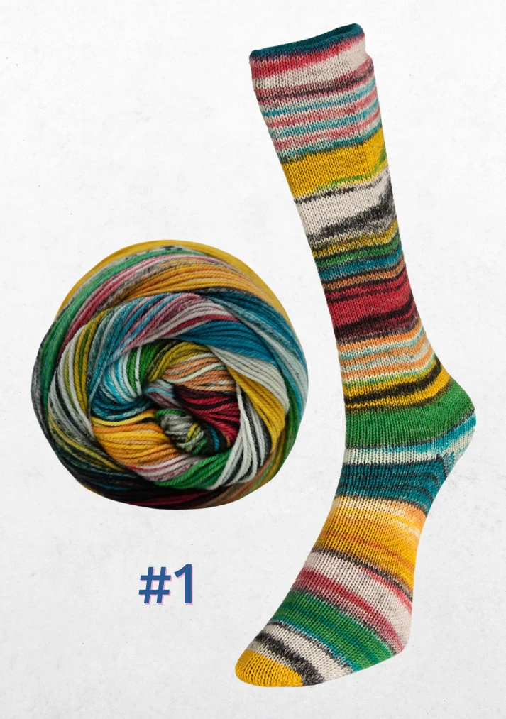 eclectic sock - Laine du Nord - Image 3