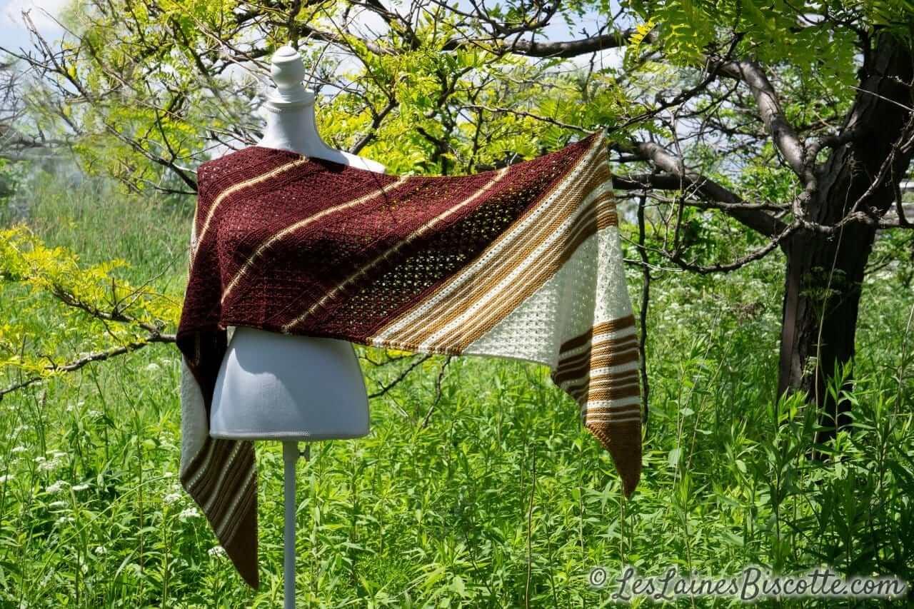 Tricolore Shawl Kit - Image 3