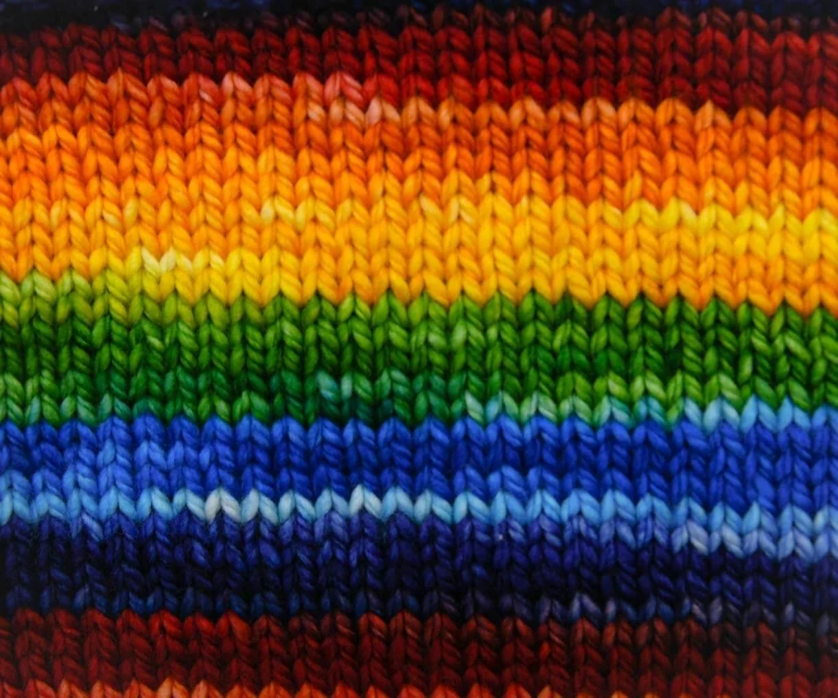 GRIFFON RAINBOW 🐦
