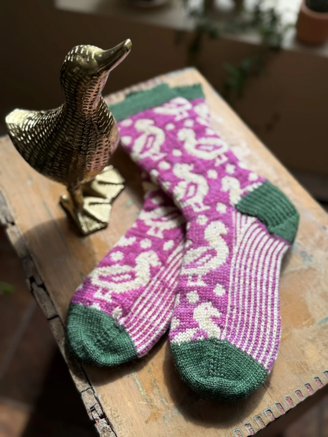 Petits Canards Socks | Knitting Pattern and Optional Limited Edition Kit - Image 5
